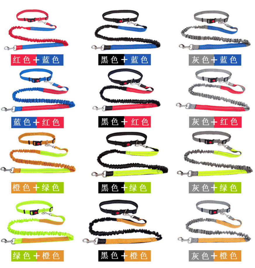 Multi-Function Dog Leash wholesale OEM pet product