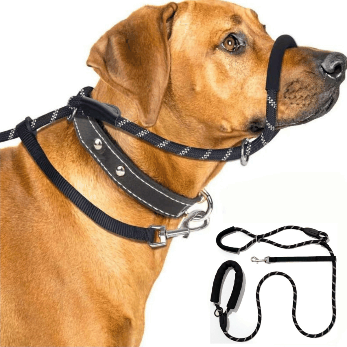 Double-Handle Reflective Dog Leash wholesale OEM pet product