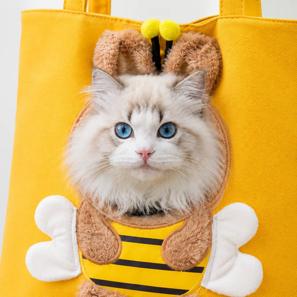 Canvas Pet Backpack wholesale product image 5