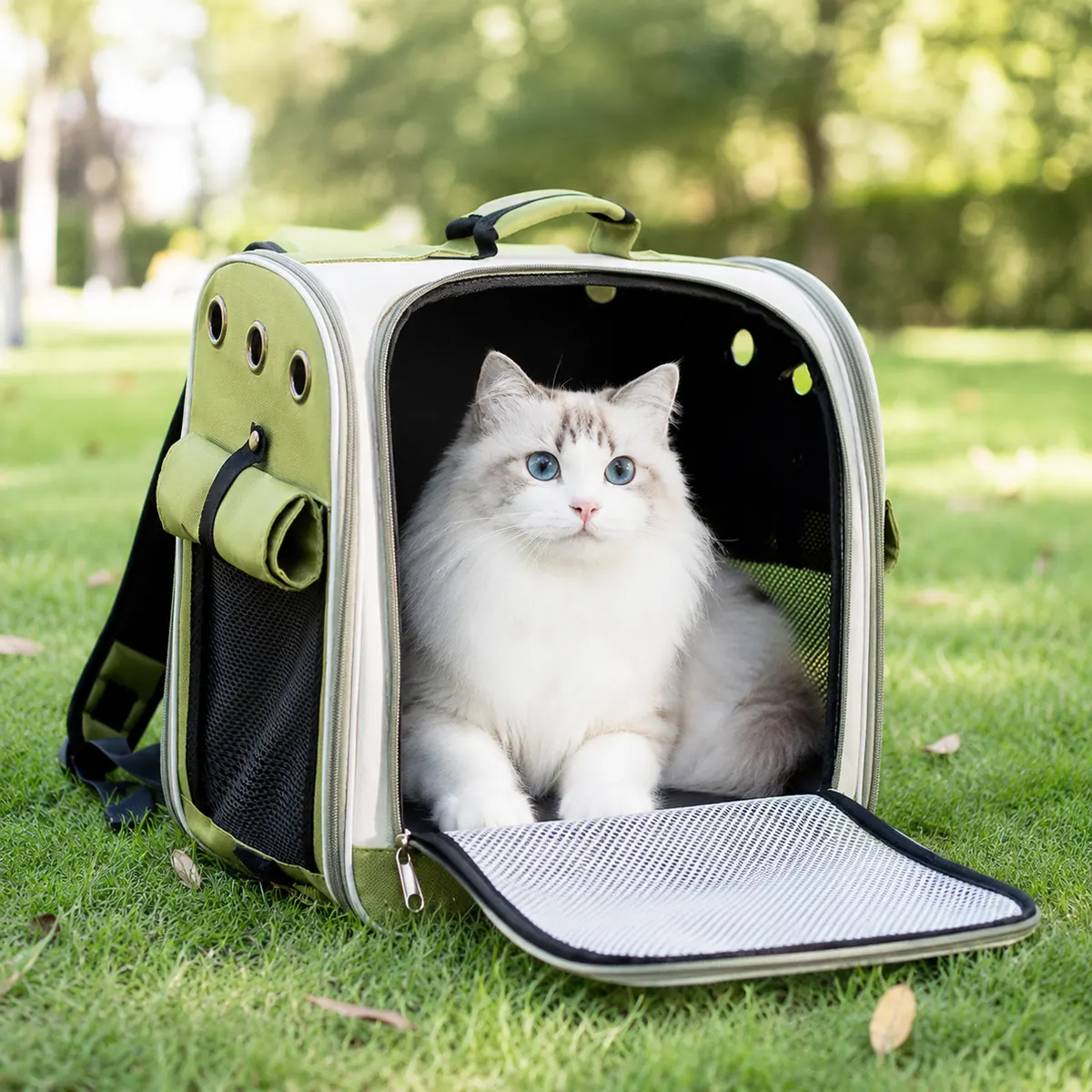 Large Capacity Pet Backpack wholesale product image 3