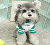 Classic Baseball Dog Jersey wholesale OEM pet clothing SKU 06A7411