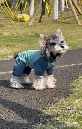 Cooling Lightweight Dog Shirt wholesale pet apparel SKU 04A118023