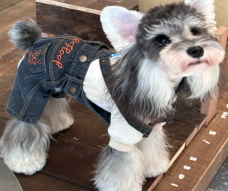 Four-Season Washed Denim Dog Overalls wholesale pet apparel SKU 05B1268