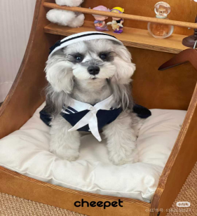Nautical-Style Dog Dress wholesale pet apparel SKU 05B3109